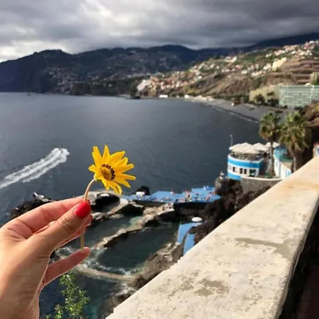 Apartamento Madeira Palace Cf5 Funchal (Madeira)